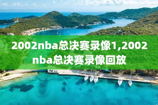 2002nba总决赛录像1,2002nba总决赛录像回放