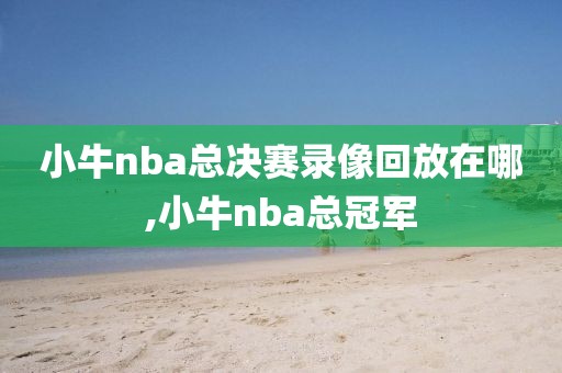 小牛nba总决赛录像回放在哪,小牛nba总冠军