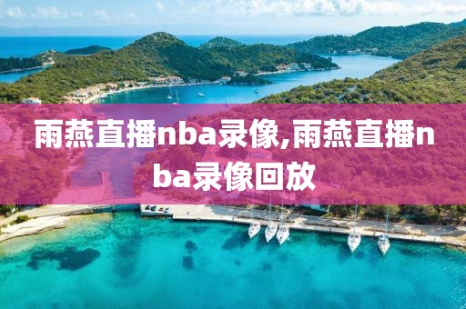 雨燕直播nba录像,雨燕直播nba录像回放