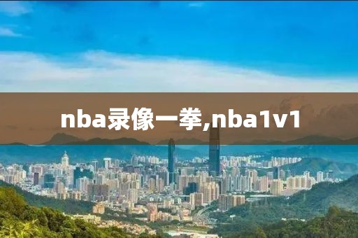 nba录像一拳,nba1v1