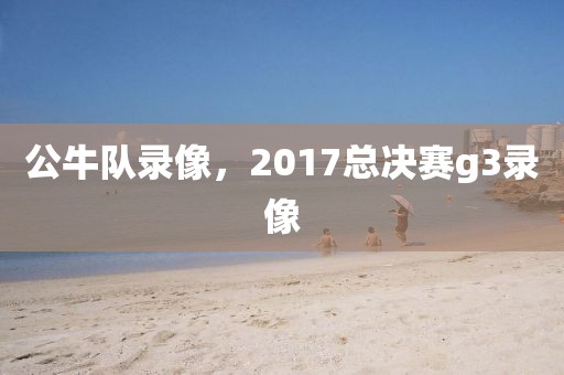 公牛队录像，2017总决赛g3录像