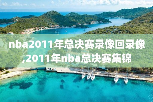 nba2011年总决赛录像回录像,2011年nba总决赛集锦