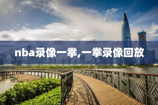 nba录像一拳,一拳录像回放
