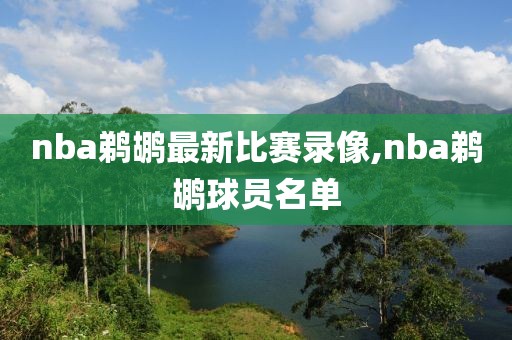 nba鹈鹕最新比赛录像,nba鹈鹕球员名单