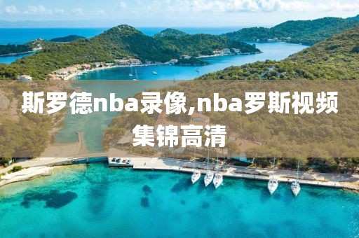 斯罗德nba录像,nba罗斯视频集锦高清