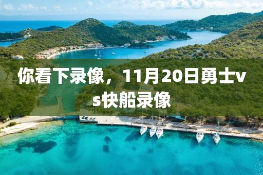 你看下录像，11月20日勇士vs快船录像