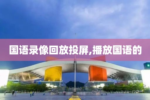 国语录像回放投屏,播放国语的