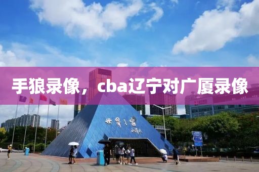 手狼录像，cba辽宁对广厦录像