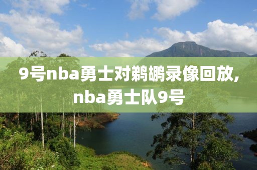 9号nba勇士对鹈鹕录像回放,nba勇士队9号