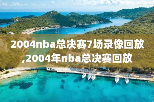 2004nba总决赛7场录像回放,2004年nba总决赛回放