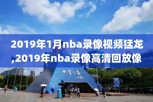 2019年1月nba录像视频猛龙,2019年nba录像高清回放像