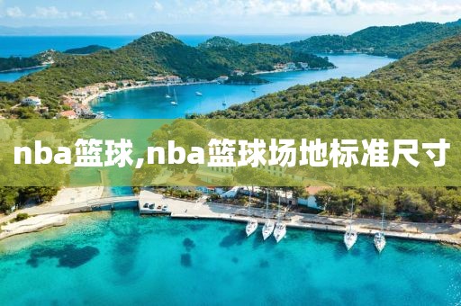 nba篮球,nba篮球场地标准尺寸