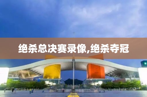 绝杀总决赛录像,绝杀夺冠
