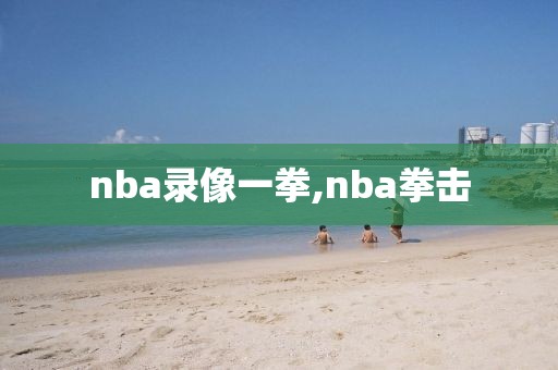 nba录像一拳,nba拳击