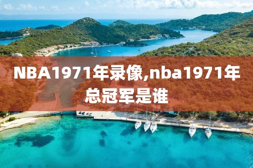 NBA1971年录像,nba1971年总冠军是谁