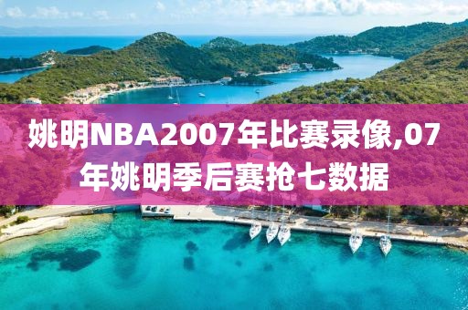 姚明NBA2007年比赛录像,07年姚明季后赛抢七数据