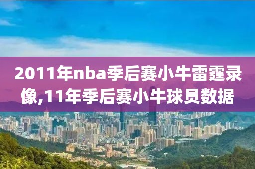 2011年nba季后赛小牛雷霆录像,11年季后赛小牛球员数据