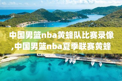 中国男篮nba黄蜂队比赛录像,中国男篮nba夏季联赛黄蜂