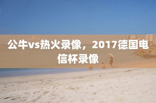 公牛vs热火录像，2017德国电信杯录像