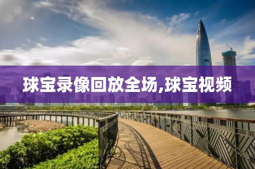 球宝录像回放全场,球宝视频