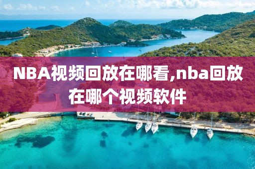 NBA视频回放在哪看,nba回放在哪个视频软件